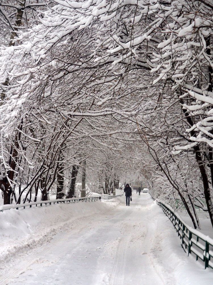 Photograph by Tatyana Markova