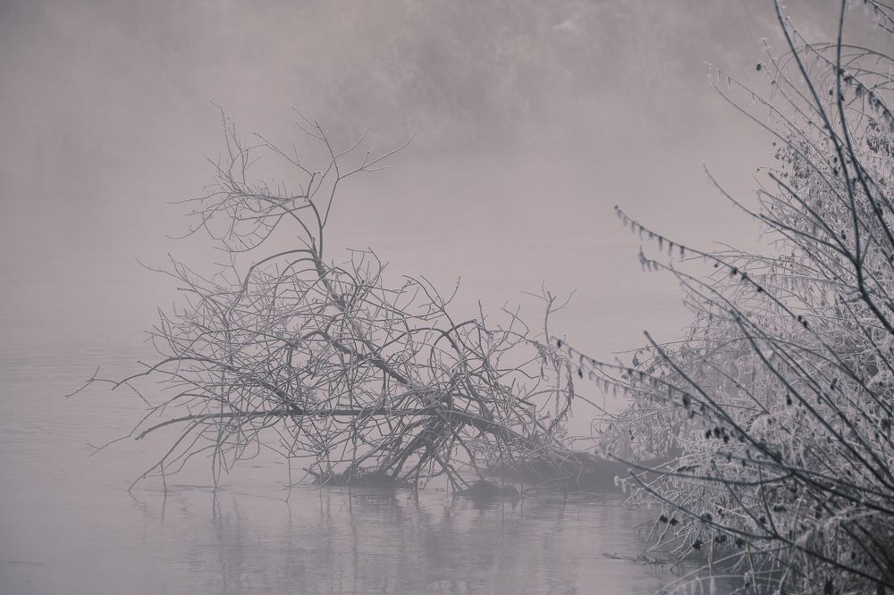 Photograph by Василий Арлашов