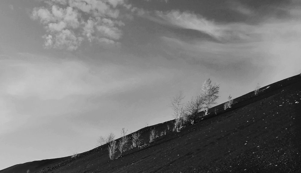 Photograph by Светлана Кудянова