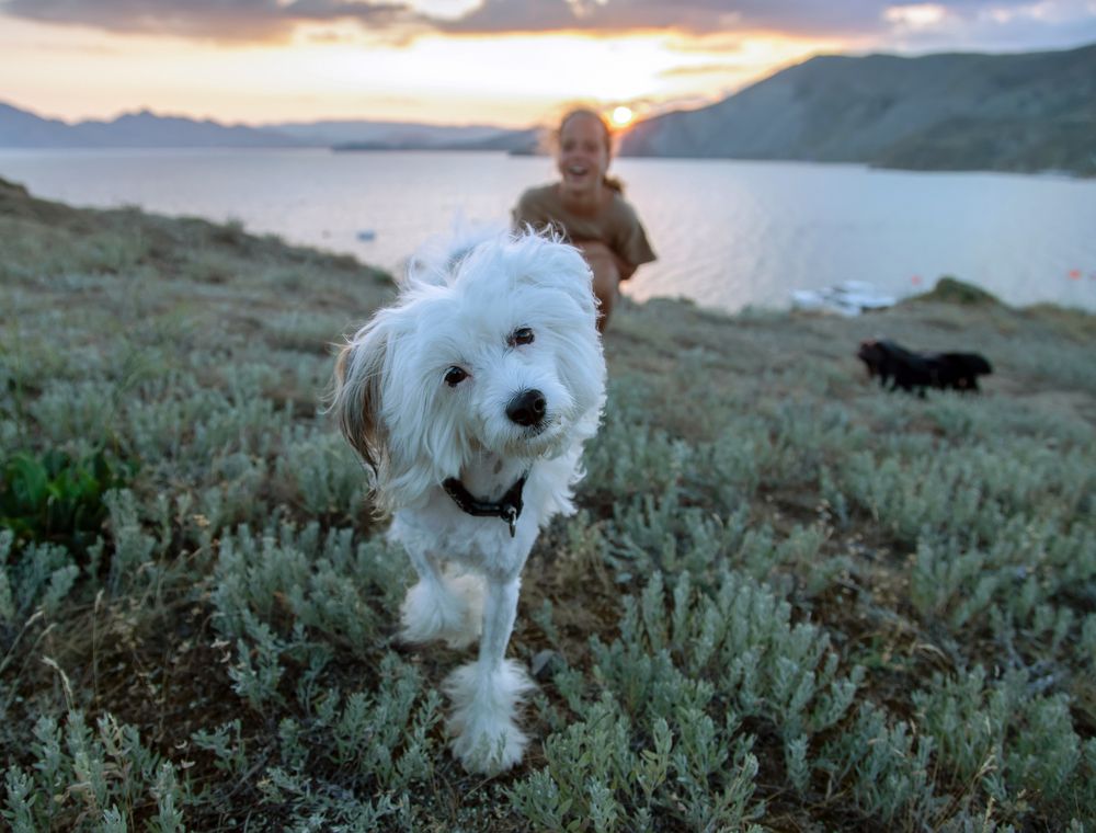 Photograph by Татьяна Феденкова