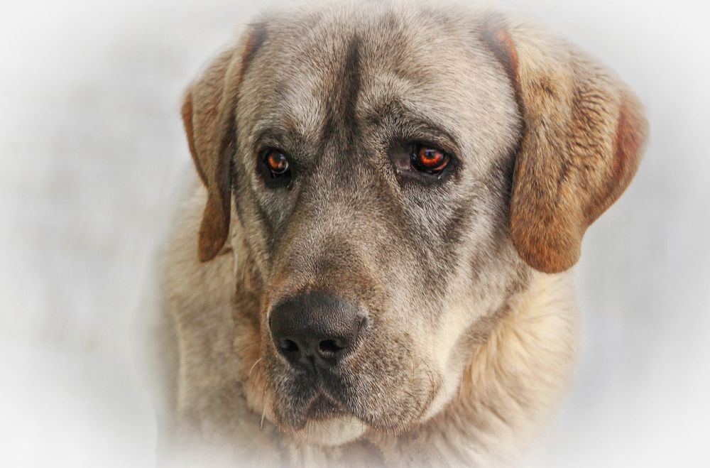 Photograph by Вячеслав Лычков