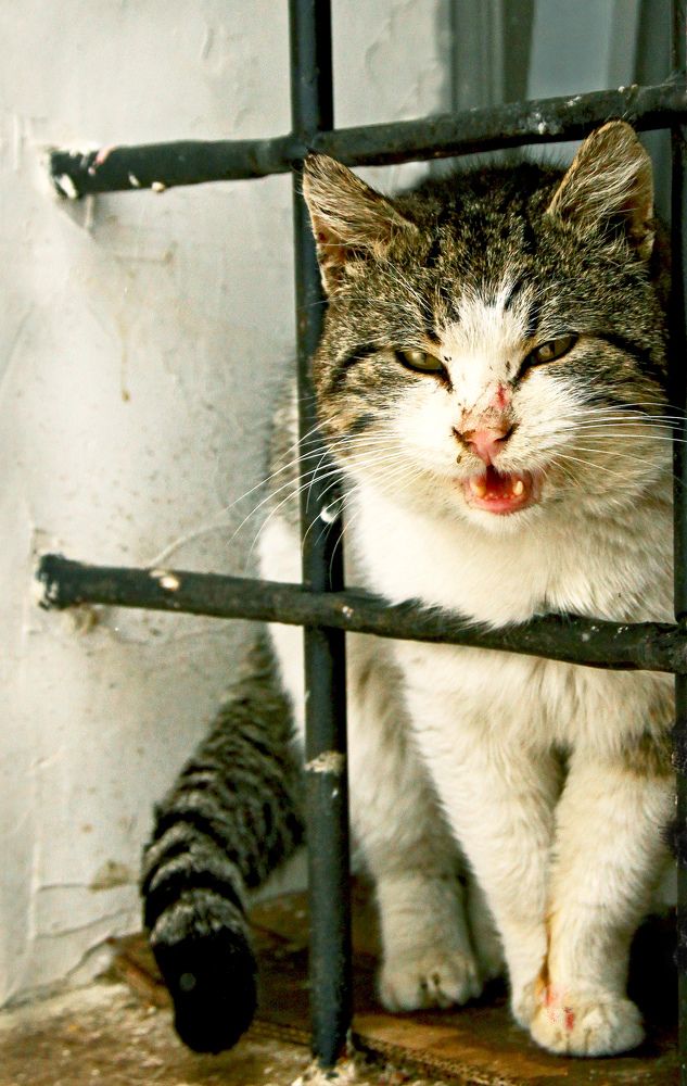 Photograph by Вячеслав Лычков