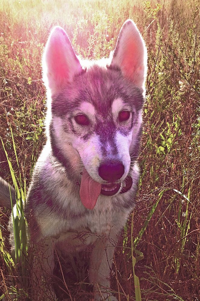 Photograph by Вячеслав Лычков