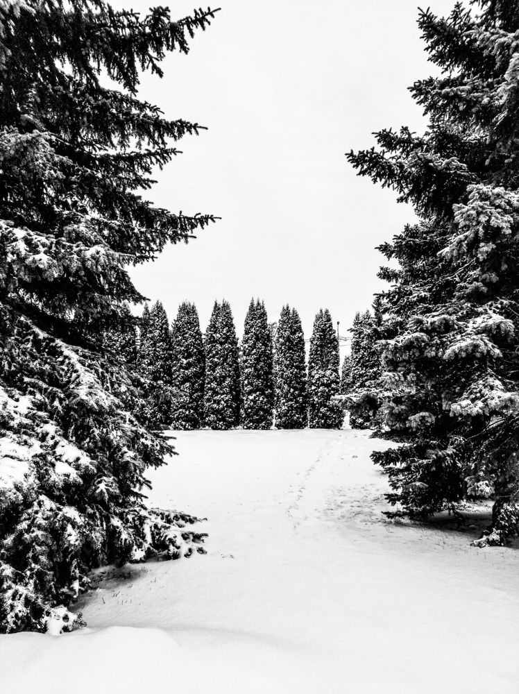 Photograph by Светлана Кондратенко
