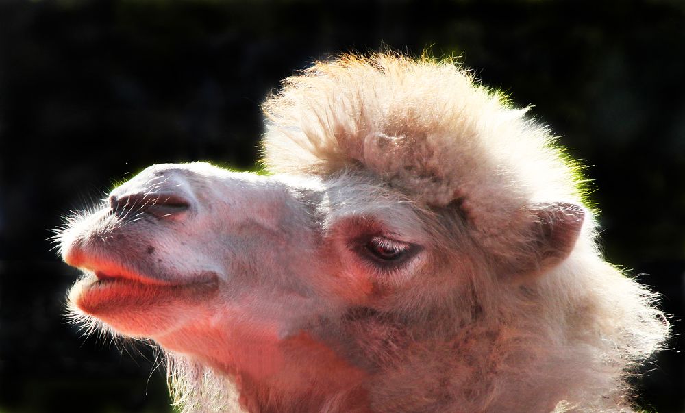 Photograph by Вячеслав Лычков