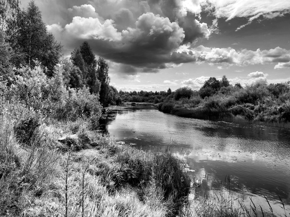 Фотография автора Татьяна Алексеева