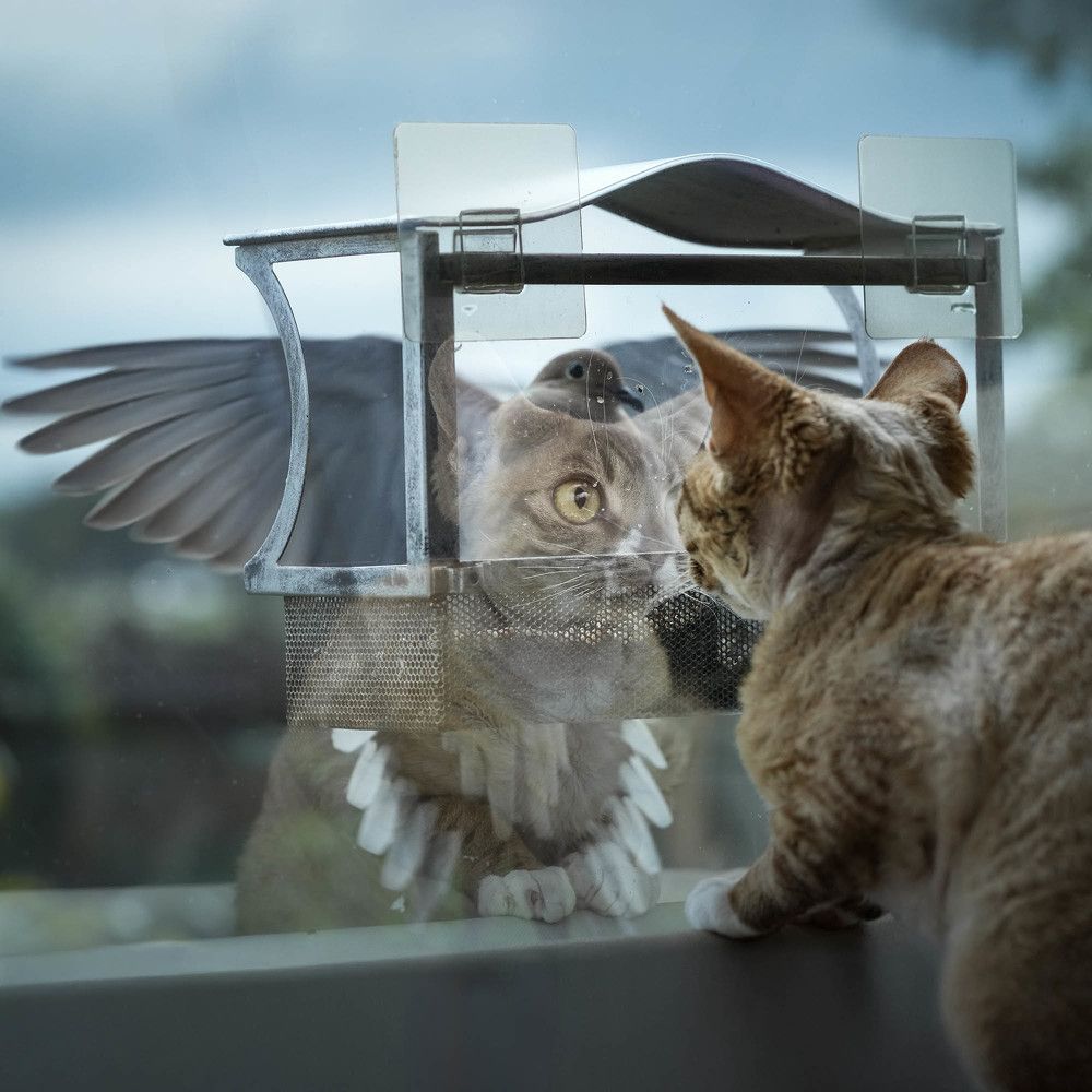 Фотография автора Irina Kozhemyakina