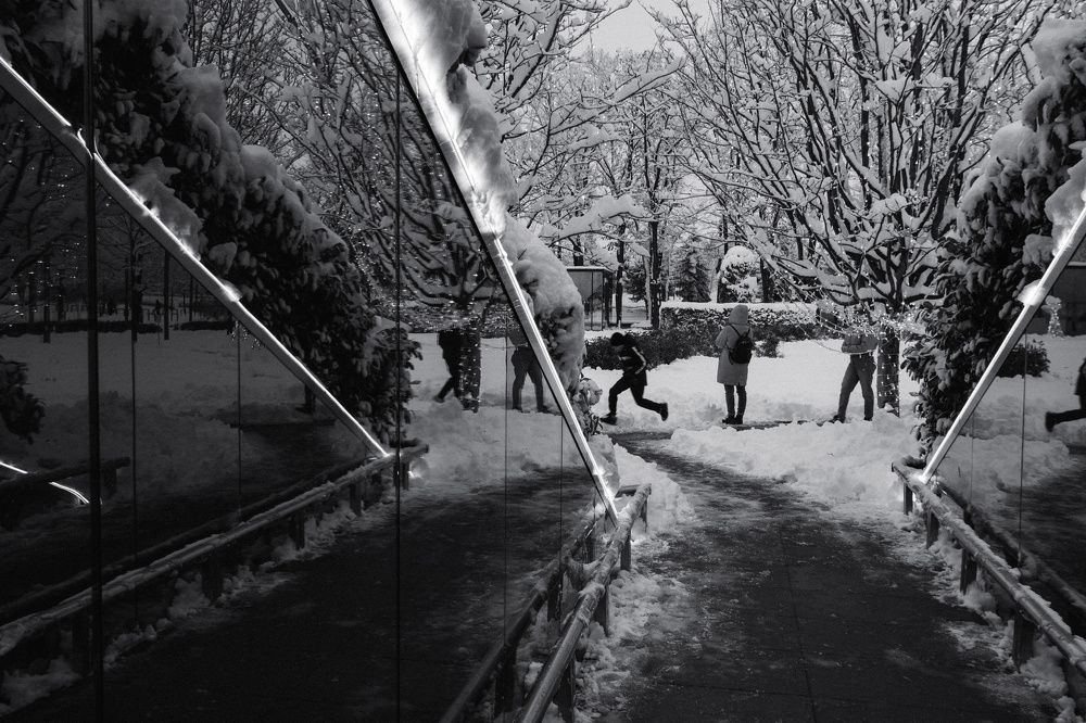 Photograph by Елена Шевченко