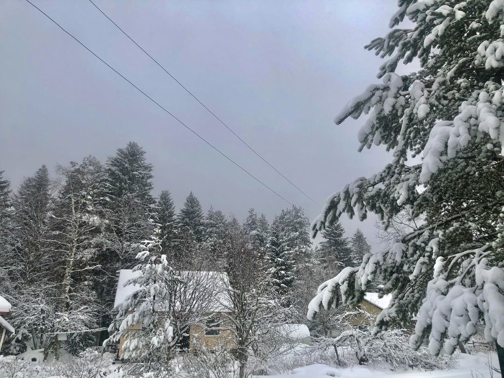 Photograph by Олеся Семёнова