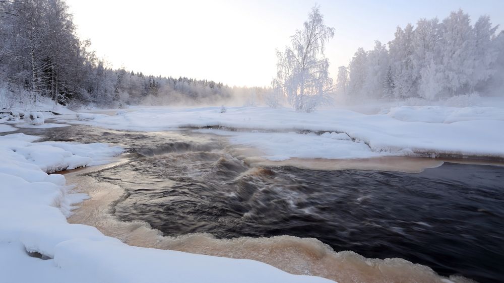 Photograph by Николай Раппу