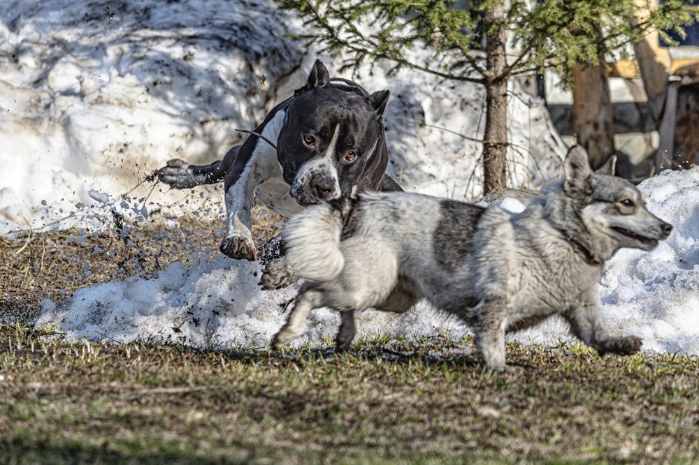 Фотография автора Андрей Жданов