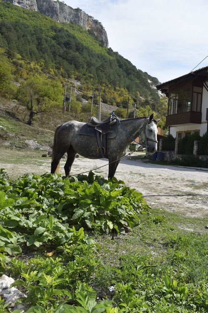 Photograph by Валентина Рябуха