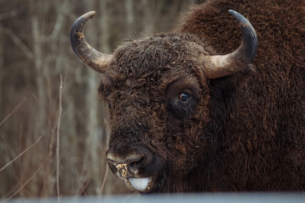 Фотография автора Алина Руденко