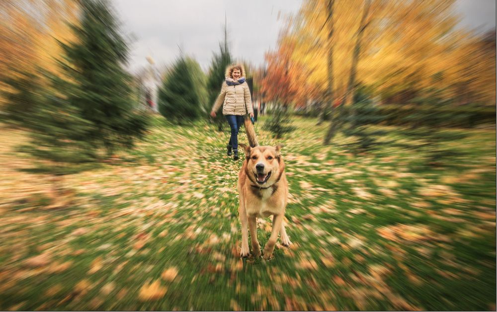 Photograph by Вячеслав Лычков