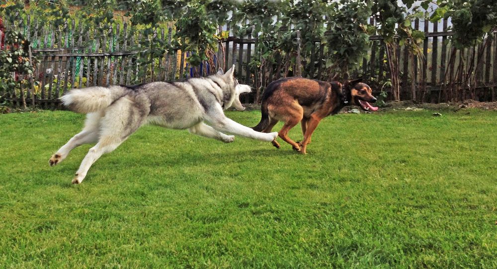 Photograph by Вячеслав Лычков