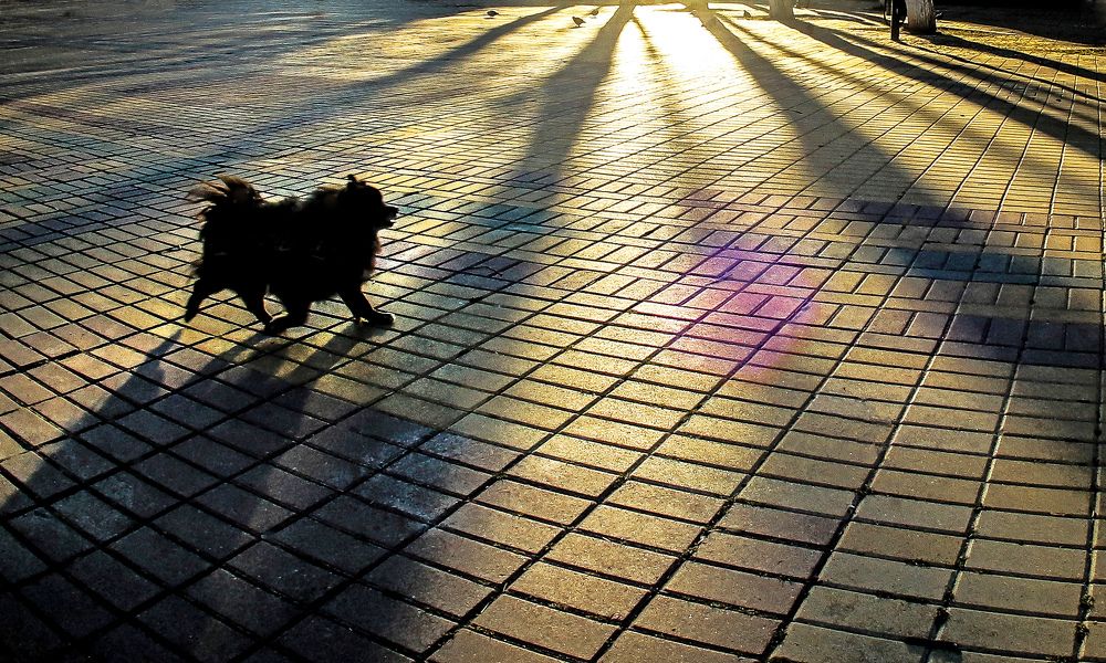 Photograph by Вячеслав Лычков