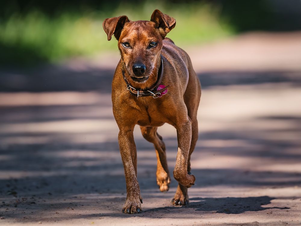 Photograph by Олег Милеев (Каминцев)