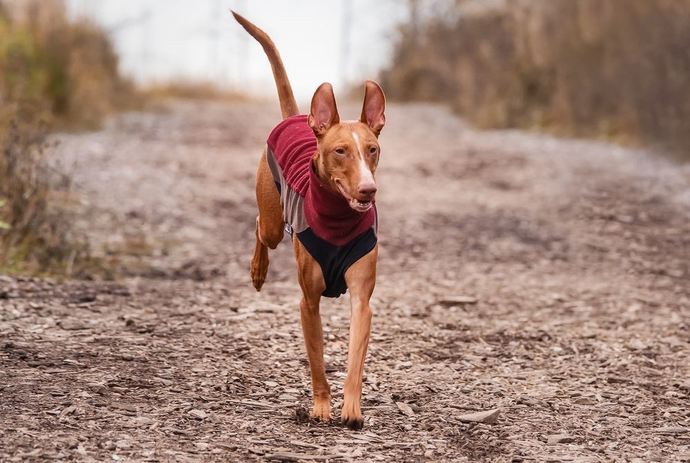 Photograph by Олег Милеев (Каминцев)