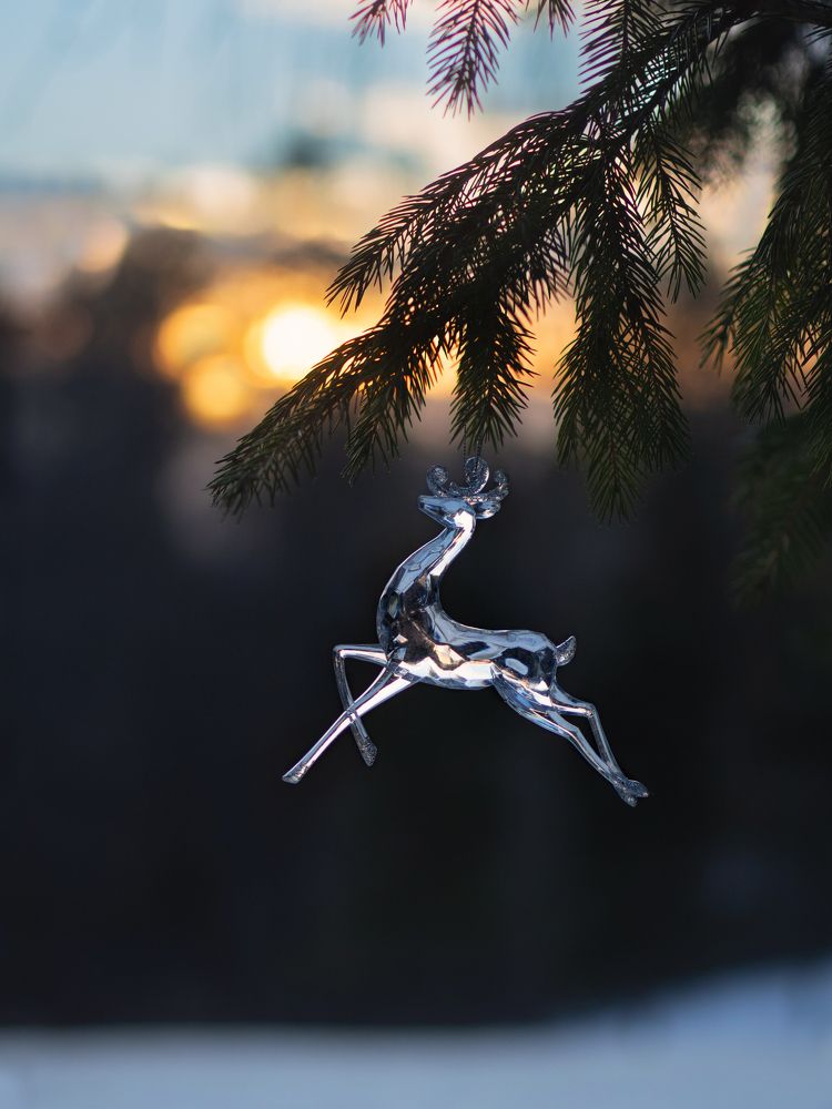 Photograph by Larisa Usova