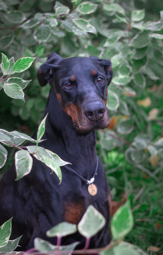 Photograph by Елена Иванова