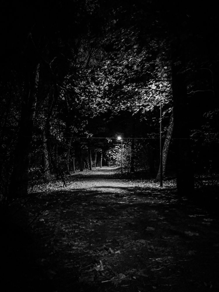 Photograph by Сергей Метлов