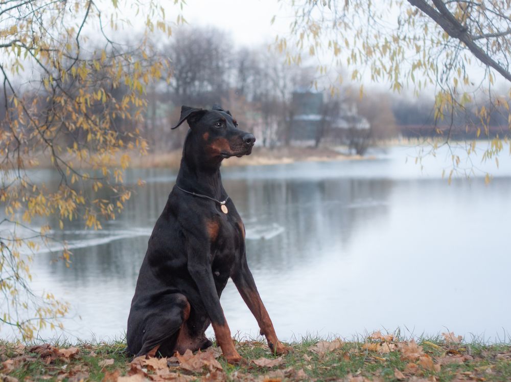 Photograph by Елена Иванова