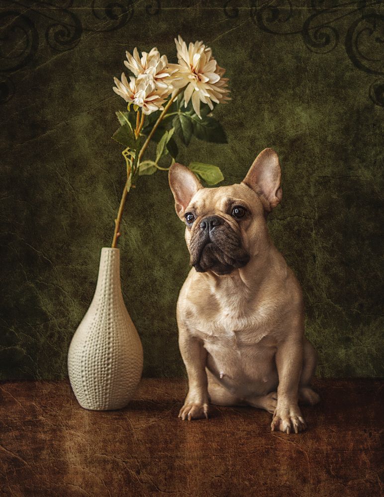 Photograph by Ольга Софронова