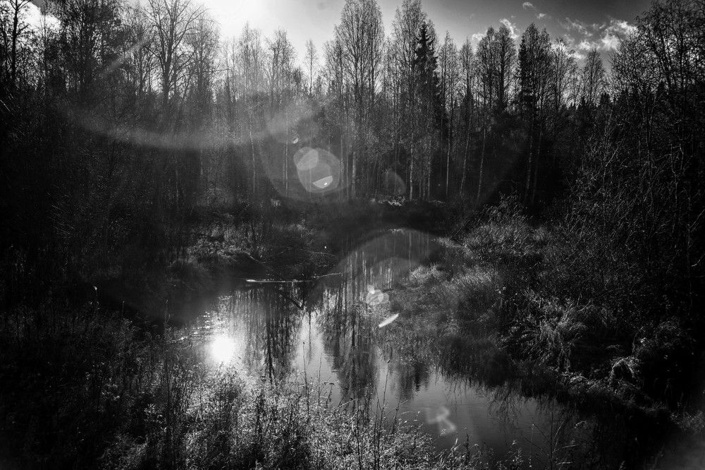 Photograph by Ольга Кривенцова