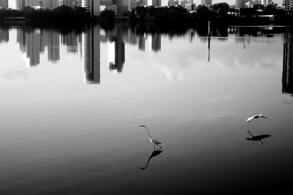 Photograph by CRINALDO REIS