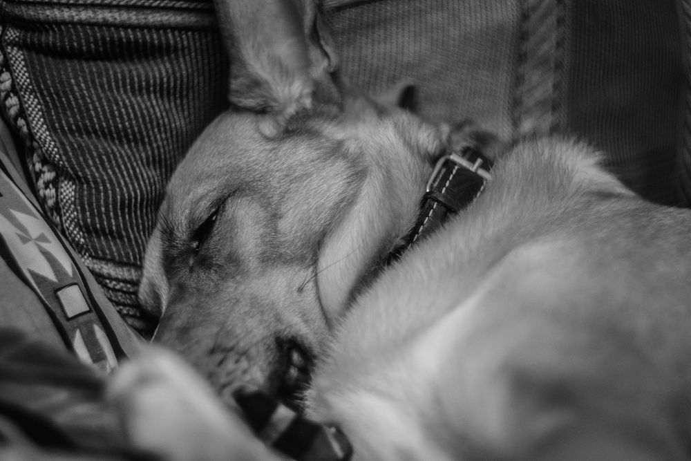 Photograph by Никита Полозов