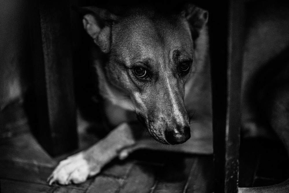 Photograph by Никита Полозов