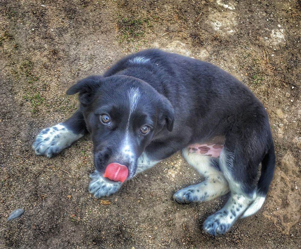 Photograph by Oksana Smorodina