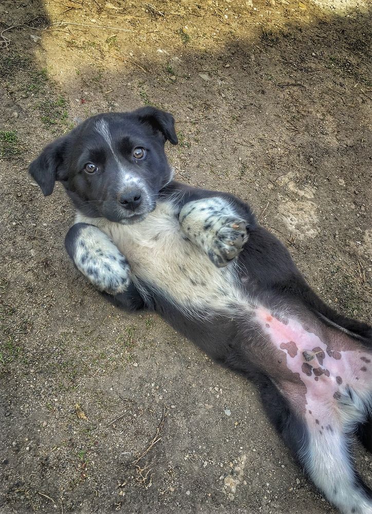 Photograph by Oksana Smorodina