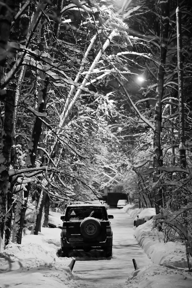 Photograph by Никита Полозов