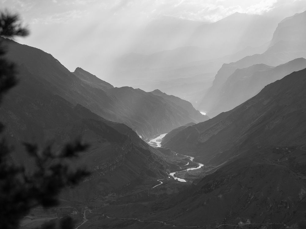 Photograph by Larisa Usova