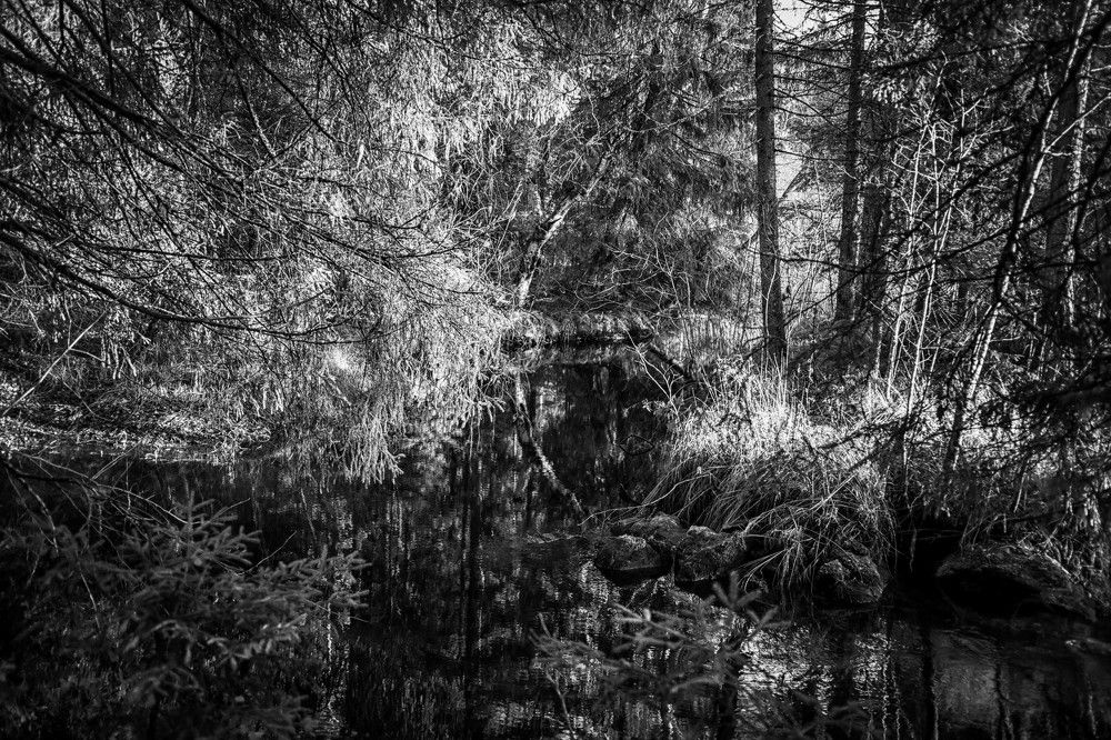 Photograph by Ольга Кривенцова