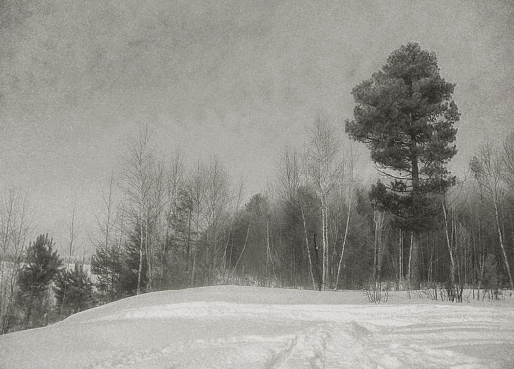 Фотография автора Светлана