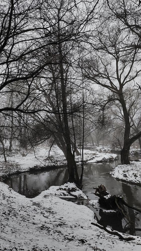 Photograph by Evgenia Korchagova