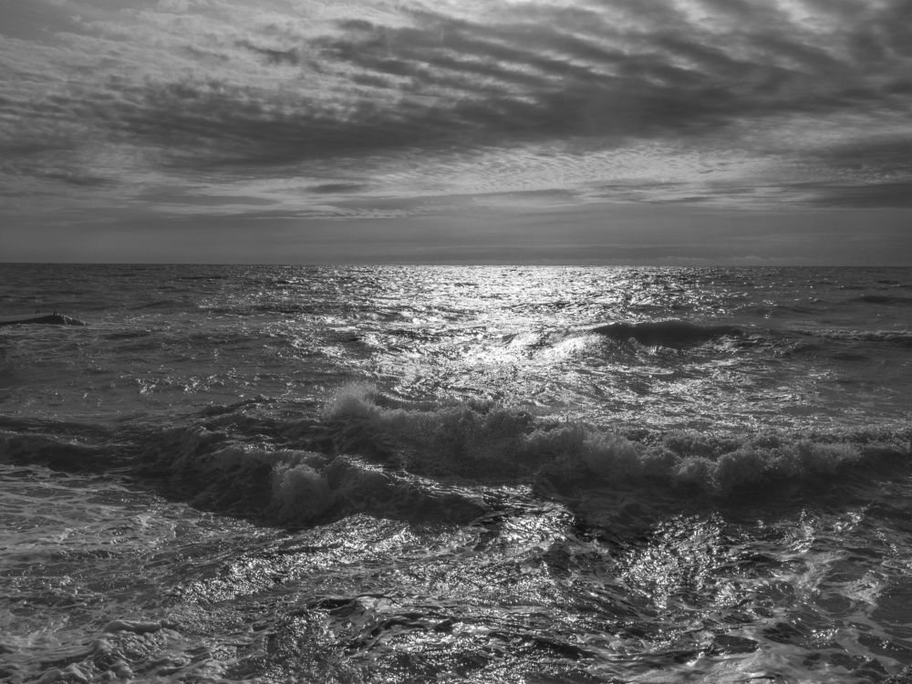 Photograph by Larisa Usova