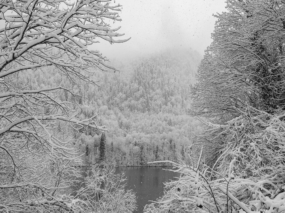 Photograph by Larisa Usova