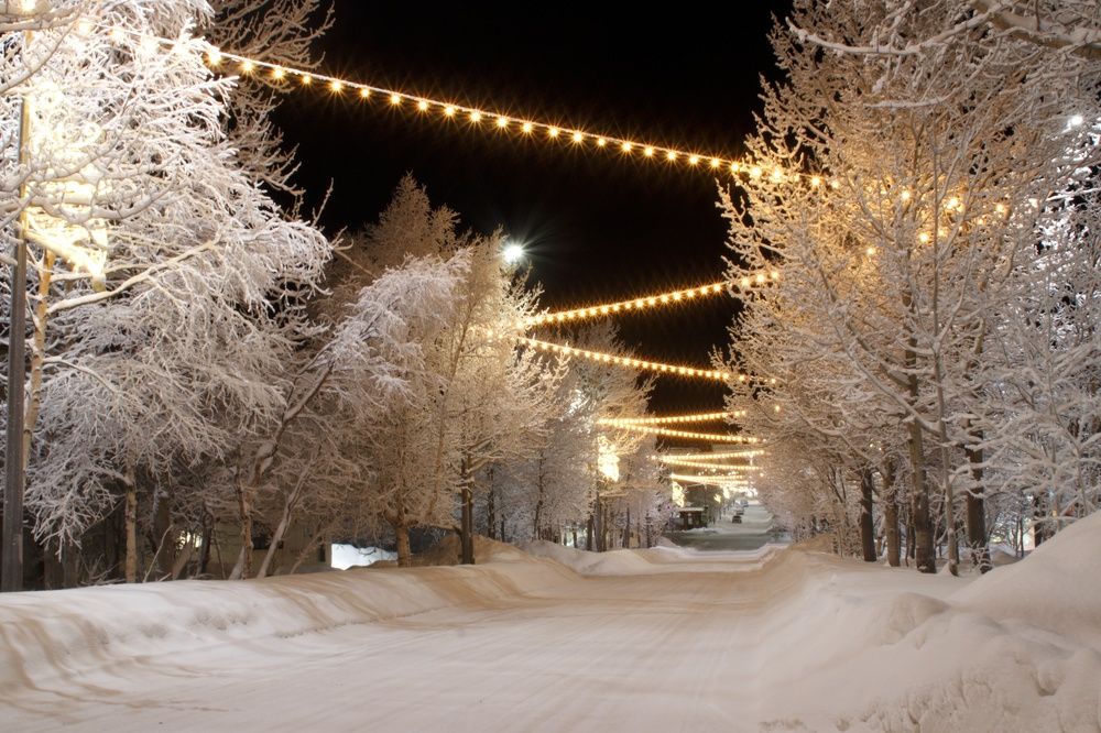 Фотография автора Светлана Терехова