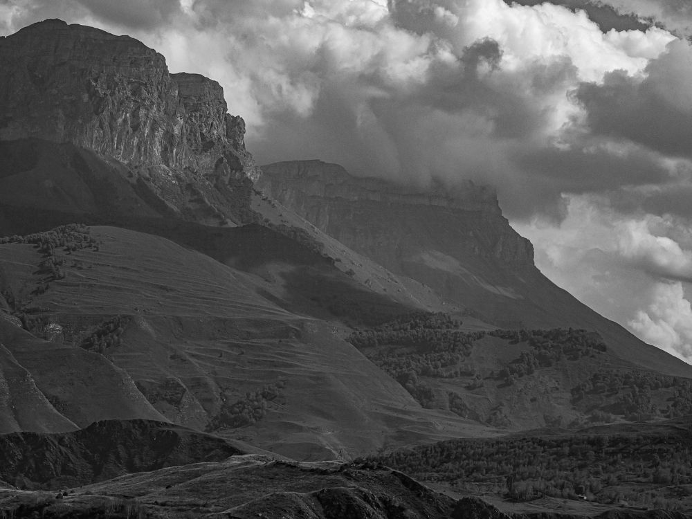 Photograph by Larisa Usova