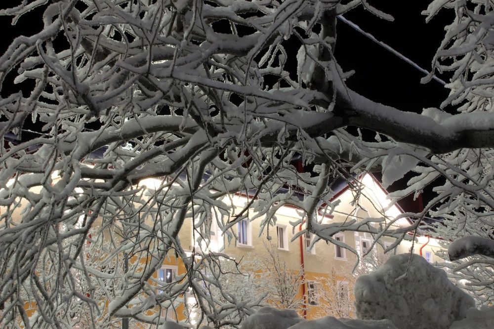 Фотография автора Светлана Терехова