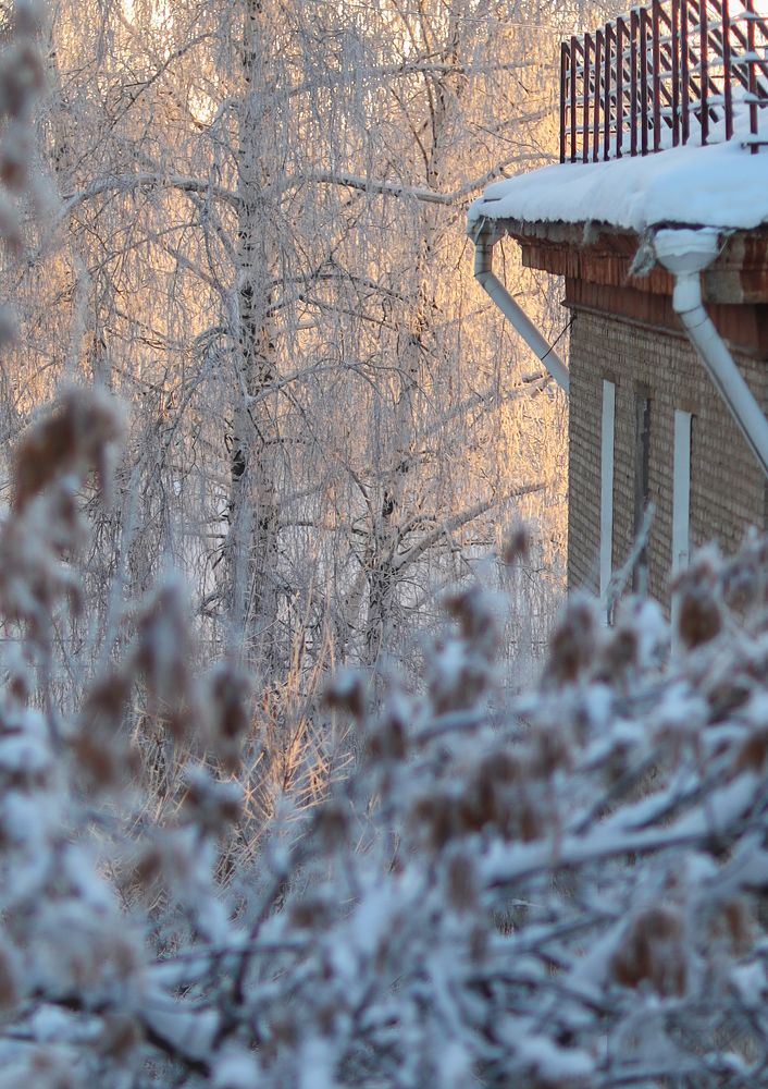 Photograph by Larisa Usova