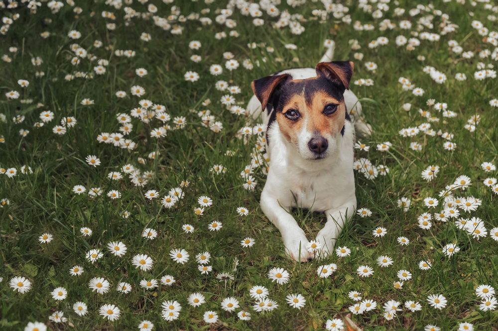 Photograph by Aga Kucinska