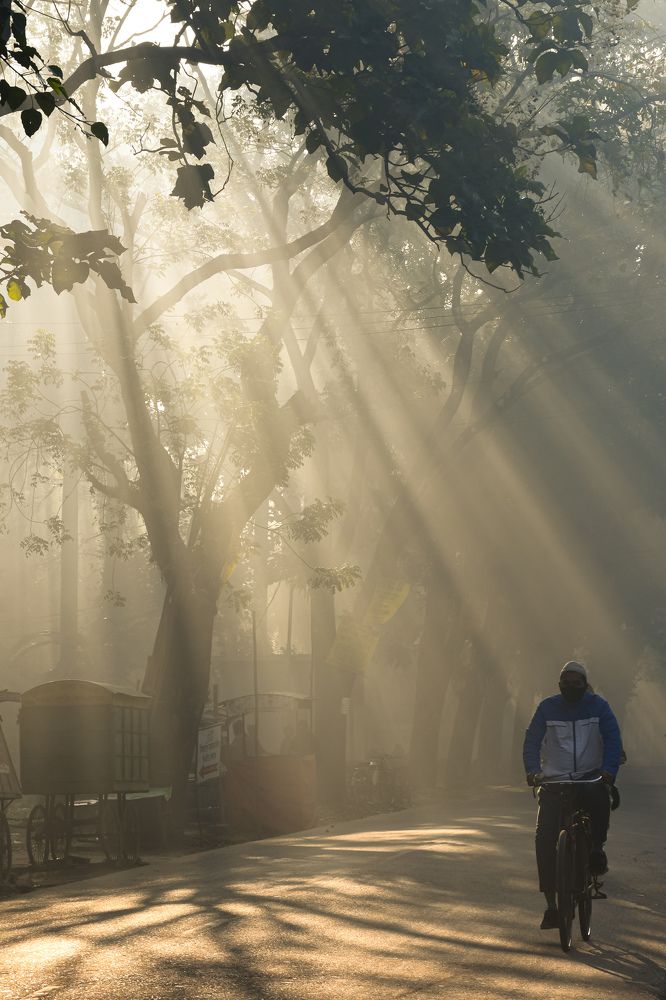 Through morning light