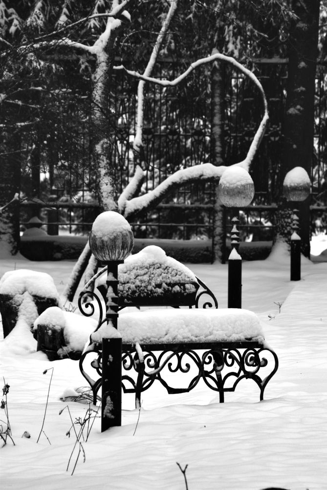 Ботанический сад в Брянске