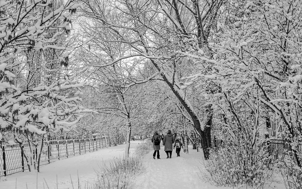 Фотография автора Николай Бологов