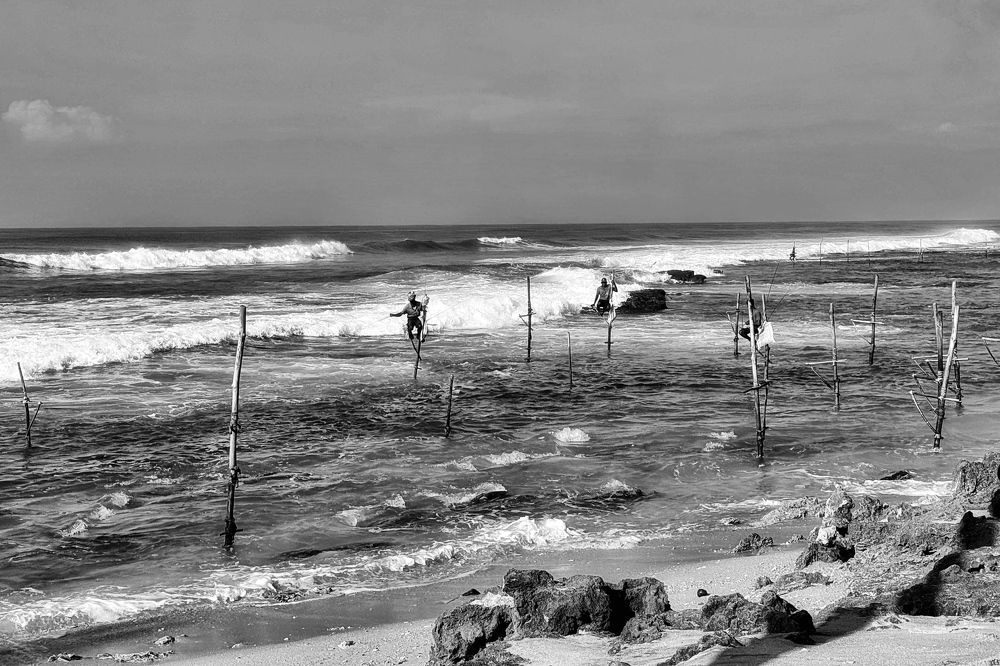 Фотография автора Евгения Никишина