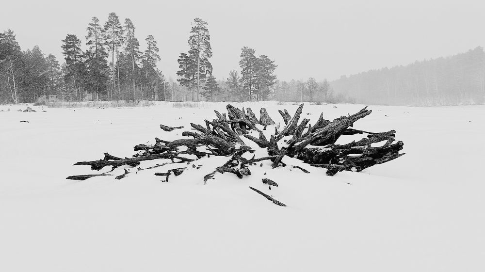 Photograph by Татьяна Пятернёва